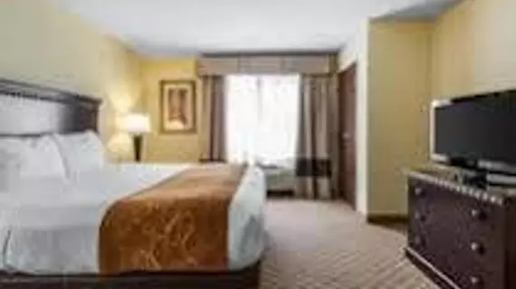 Comfort Suites Cullman | Alabama - Cullman (ve civarı) - Cullman