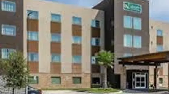 Best Western Plus Westheimer Westchase Inn & Suites | Teksas - Houston (ve civarı) - Houston - Westchase