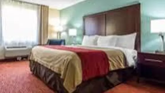 Comfort Inn and Suites Newark | Kaliforniya - Fremont - Newark