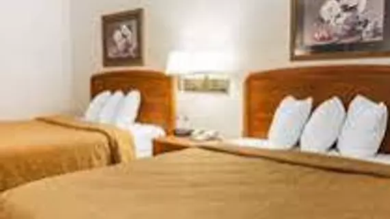 Quality Inn South | Indiana - Indianapolis (ve civarı) - Indianapolis