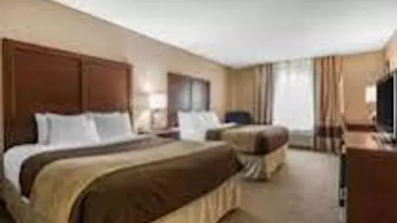 Comfort Inn & Suites Mishawaka | Indiana - South Bend (ve civarı) - Mishawaka