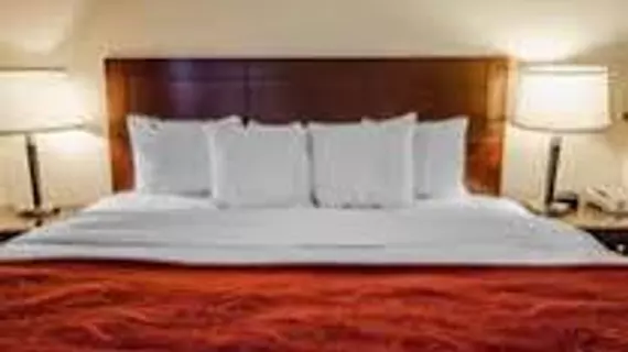 Comfort Suites Jeffersonville | Indiana - Jeffersonville - Clarksville (ve civarı) - Jeffersonville