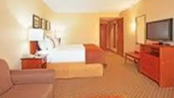 Holiday Inn Battle Creek | Michigan - Kalamazoo (ve civarı) - Battle Creek