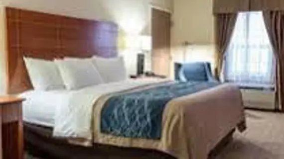 Comfort Inn Civic Center Augusta | Maine - Augusta (ve civarı) - Augusta