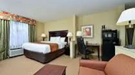 Holiday Inn Express Mobile West - I-65 | Alabama - Mobile (ve civarı) - Mobile