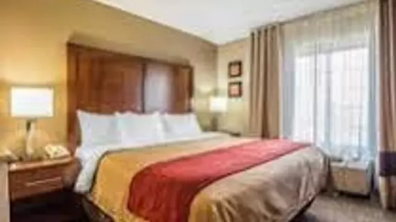 Comfort Inn & Suites Chattanooga | Tennessee - Chattanooga (ve civarı) - Chattanooga