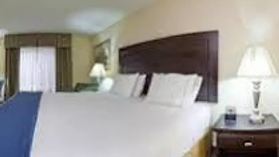 Holiday Inn Express Hotel & Suites Chicago South Lansing | İllinois - Lansing