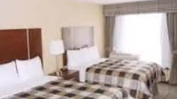 Days Inn Brampton | Ontario - Toronto (ve civarı) - Brampton