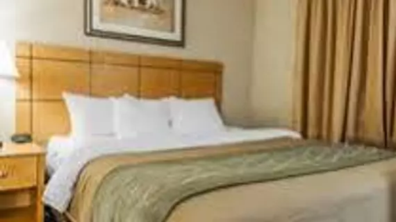 Comfort Inn Kokomo | Indiana - Kokomo (ve civarı) - Kokomo