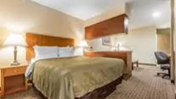 Quality Inn & Suites Santa Rosa | Kaliforniya - Sonoma İlçesi - Santa Rosa