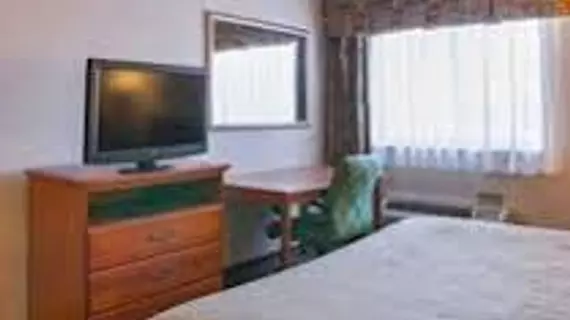 Quality Inn and Suites | Michigan - Detroit (ve civarı) - Romulus