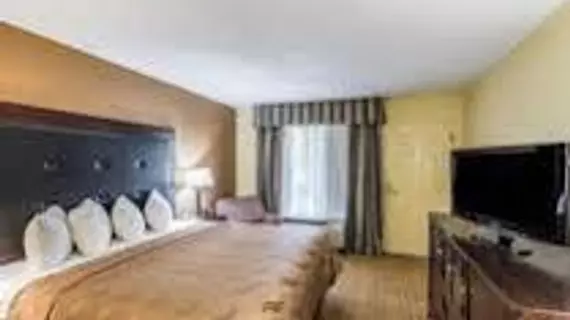 Quality Inn Clemson near University | Güney Karolayna - Anderson (ve civarı) - Anderson