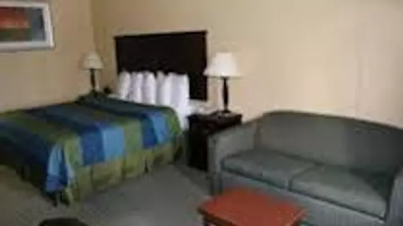 Ambassador Inn & Suites | Alabama - Tuscaloosa (ve civarı) - Tuscaloosa