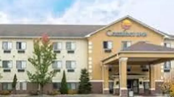 Comfort Inn Kalamazoo | Michigan - Kalamazoo (ve civarı) - Kalamazoo