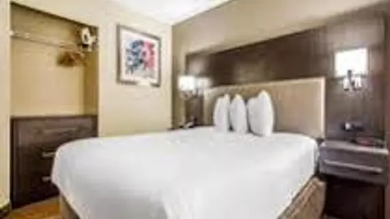 MainStay Suites Greenville Airport | Güney Karolayna - Greenville - Spartanburg (ve civarı) - Greenville