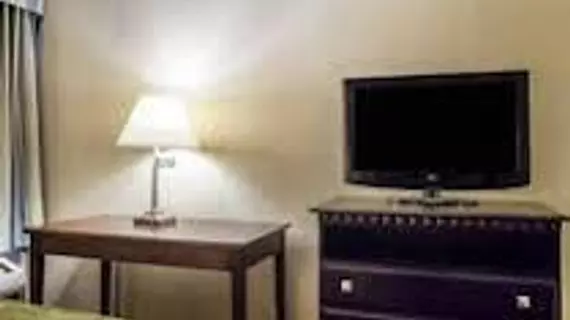 Comfort Inn Edison | New Jersey - Franklin Township - Somerset (ve civarı) - Edison