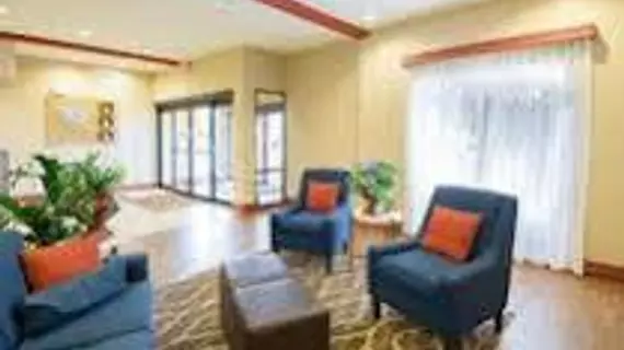 Comfort Suites Airport South | Alabama - Montgomery (ve civarı) - Montgomery