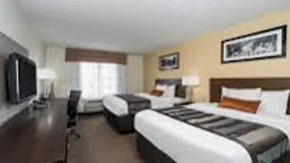 Sleep Inn Bowling Green | Kentucky - Bowling Green (ve civarı) - Bowling Green