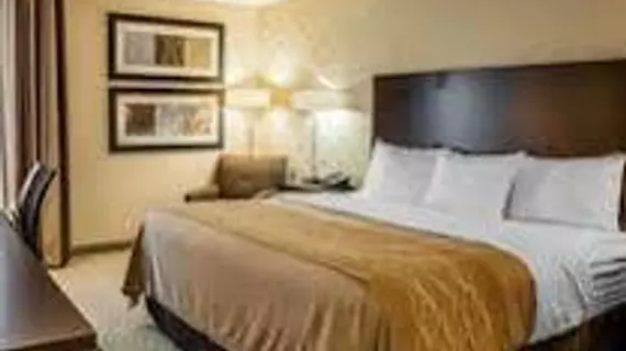 Comfort Inn Bloomington | Indiana - Bloomington (ve civarı) - Bloomington