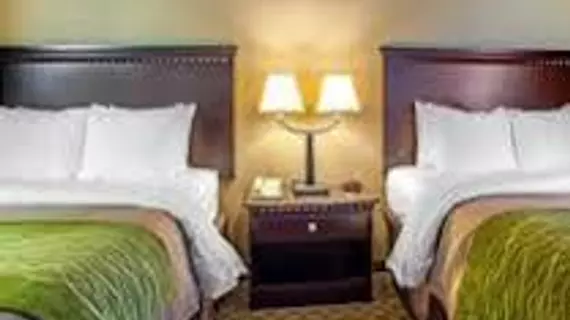 Comfort Inn Edison | New Jersey - Franklin Township - Somerset (ve civarı) - Edison