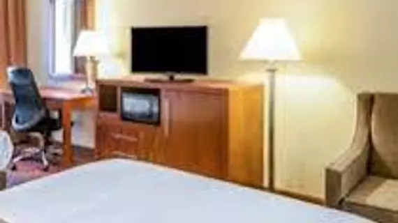 Quality Inn & Suites Albuquerque West | New Mexico - Albuquerque (ve civarı) - Albuquerque - Westside