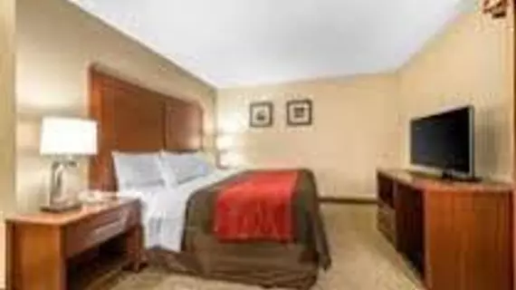 Comfort Inn & Suites Denver | Kolorado - Denver (ve civarı) - Denver - Northeast Park Hill