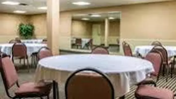 Comfort Inn of Livonia | Michigan - Detroit (ve civarı) - Livonia