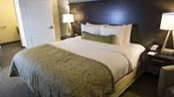 Staybridge Suites Lexington | Kentucky - Lexington (ve civarı) - Lexington