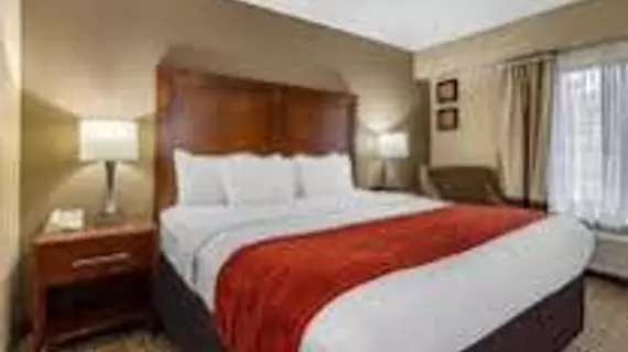 Comfort Inn & Suites Chattanooga | Tennessee - Chattanooga (ve civarı) - Chattanooga