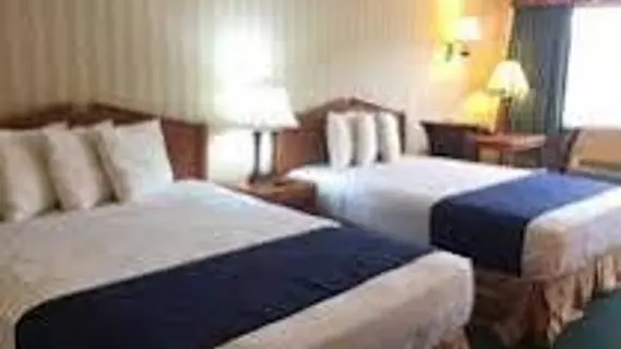 Americas Best Value Inn | Missouri - Springfield (ve civarı) - Springfield