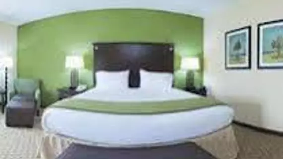 Holiday Inn Express Hotel & Suites Opelika Auburn | Alabama - Auburn - Opelika (ve civarı) - Opelika