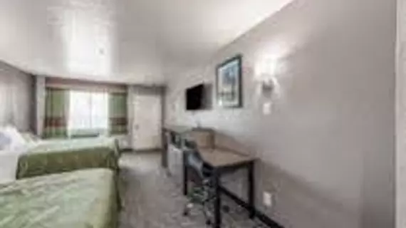 Quality Inn I-10 East near AT&T Center | Teksas - San Antonio (ve civarı) - San Antonio