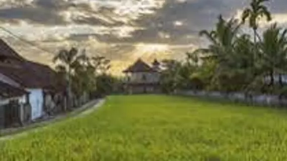 Bije Suite | Bali - Ubud - Ubud Kent Merkezi