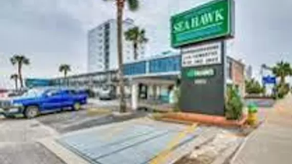 Sea Hawk Motel | Güney Karolayna - Myrtle Plajı (ve civarı) - Myrtle Beach