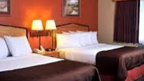 AmericInn Lodge and Suites - Oswego | İllinois - Oswego