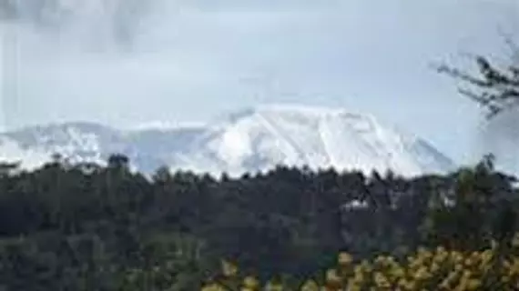 Kaswende Farm | Arusha Bölgesi - Arusha