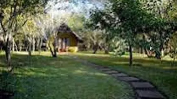 Bushfront Lodge | Livingstone