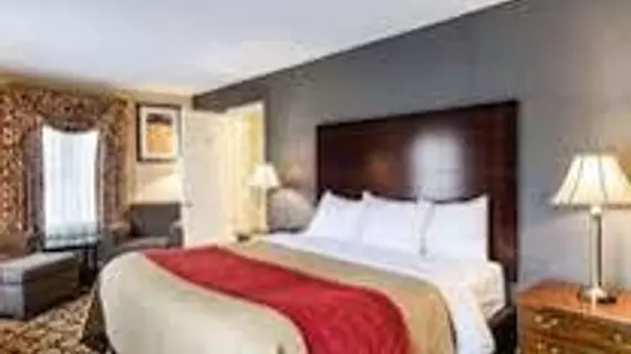 Comfort Inn Boston / Rockland | Massachusetts - Rockland