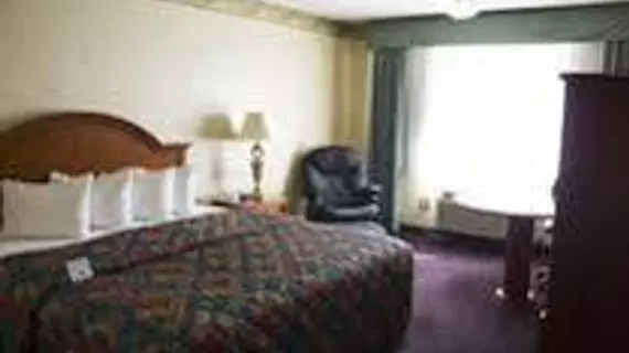 Le Ritz Hotel & Suites | Idaho - Idaho Falls (ve civarı) - Idaho Falls