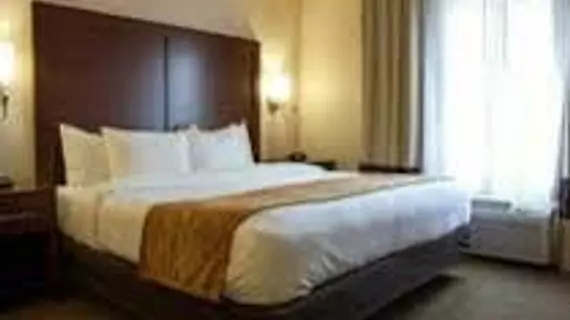 Comfort Suites Fultondale | Alabama - Birmingham (ve civarı) - Fultondale