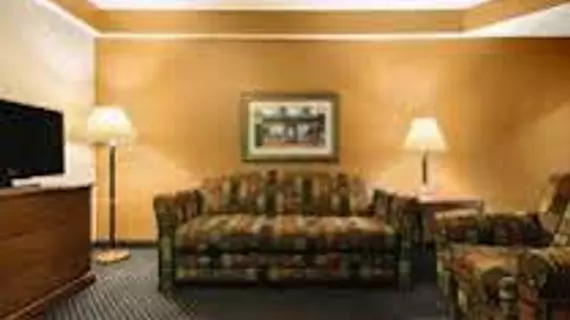 Country Inn & Suites by Radisson, Elk Grove Village/Itasca | İllinois - Elk Grove Village