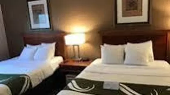 Quality Inn and Suites | Michigan - Detroit (ve civarı) - Romulus