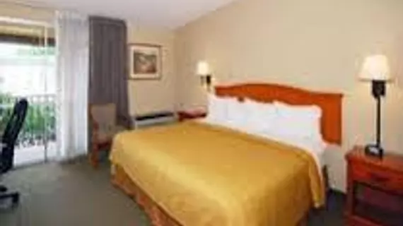 Quality Inn TXC23 Hotel | Teksas - Houston (ve civarı) - Houston