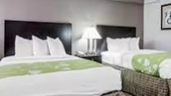 Econo Lodge Birmingham | Alabama - Birmingham (ve civarı) - Vestevia Hills