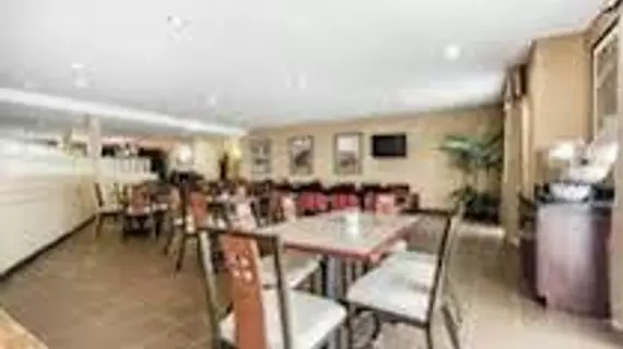 Comfort Suites Cullman | Alabama - Cullman (ve civarı) - Cullman