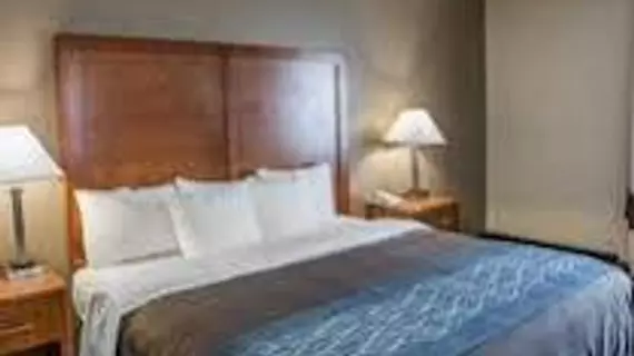 Comfort Inn South Indianapolis | Indiana - Indianapolis (ve civarı) - Indianapolis