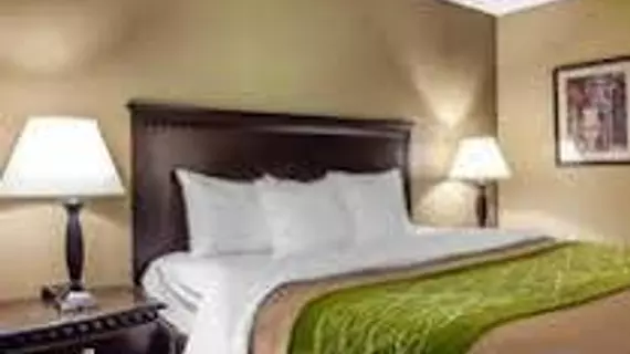 Comfort Inn Edison | New Jersey - Franklin Township - Somerset (ve civarı) - Edison