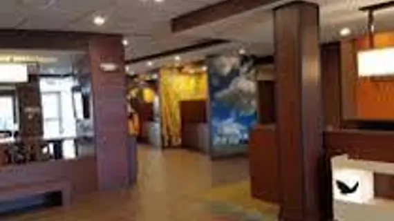 TownePlace Suites Detroit Canton | Michigan - Detroit (ve civarı) - Canton