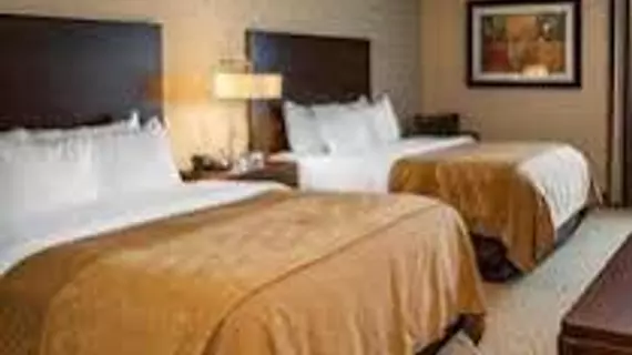 Comfort Inn Bloomington | Indiana - Bloomington (ve civarı) - Bloomington