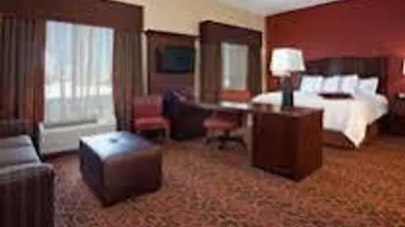 Hampton Inn and Suites Denver/South-RidgeGate | Kolorado - Denver (ve civarı) - Lone Tree